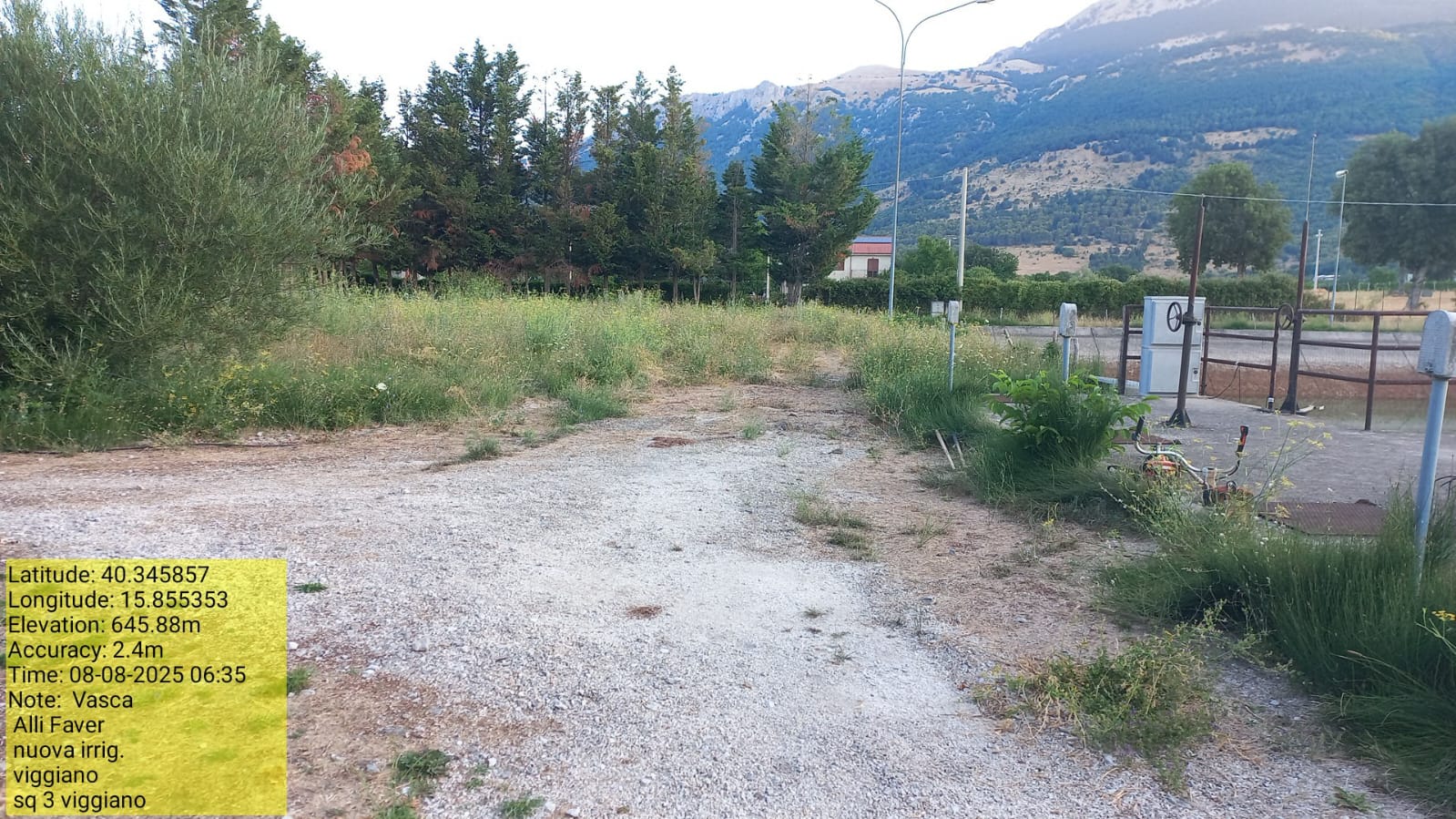 Galleria Fotografica Immagine