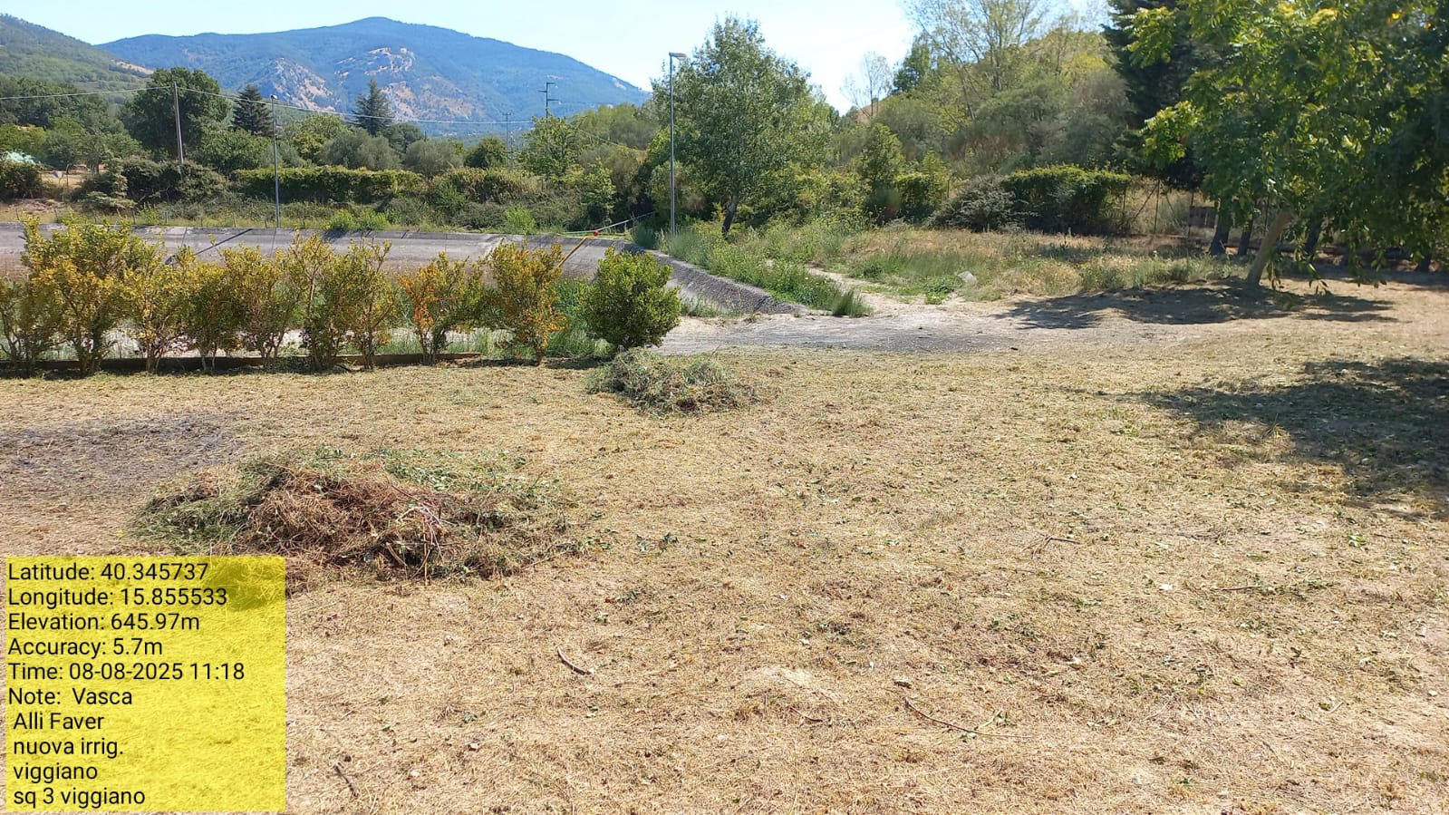 Galleria Fotografica Immagine