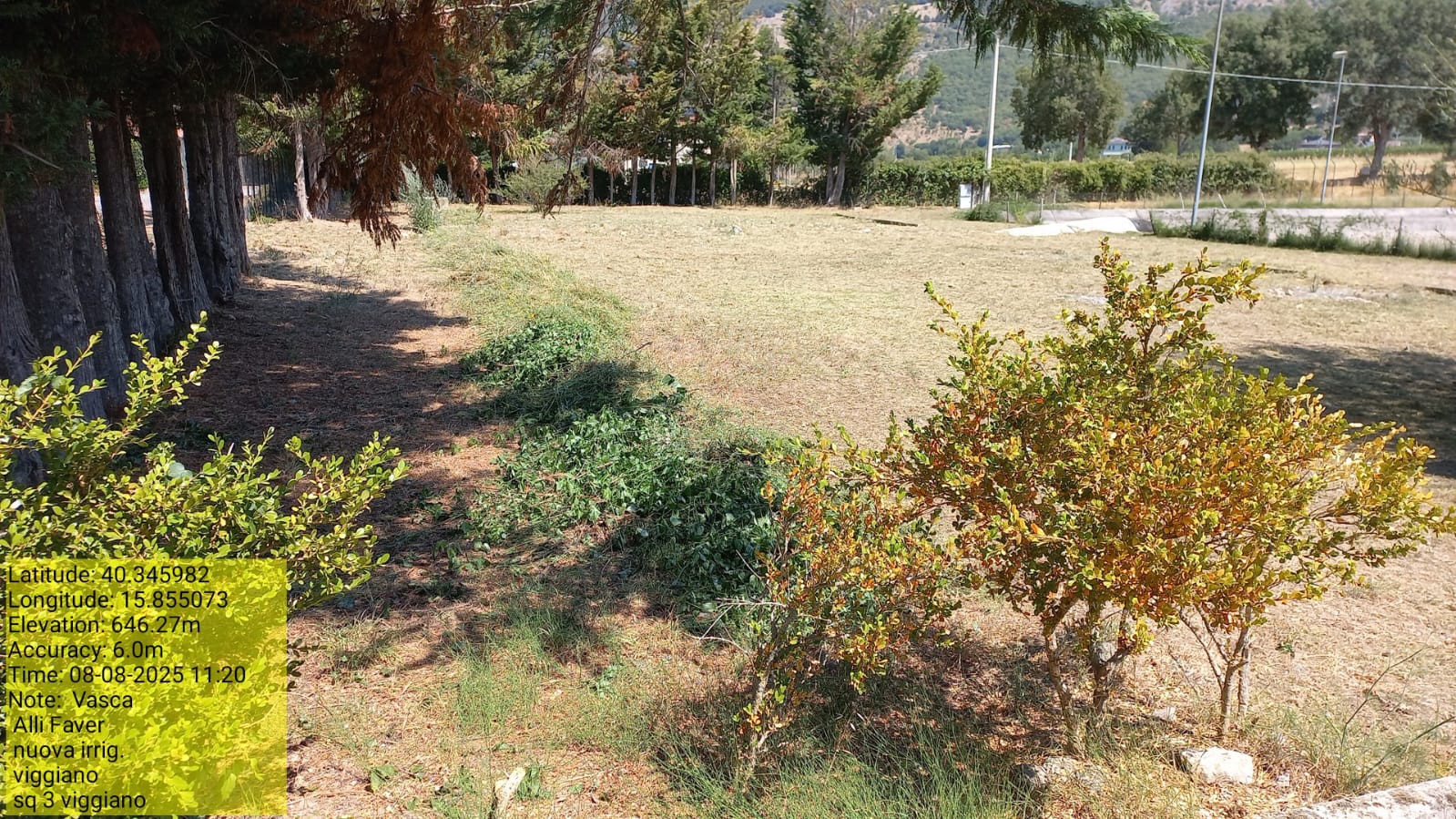 Galleria Fotografica Immagine