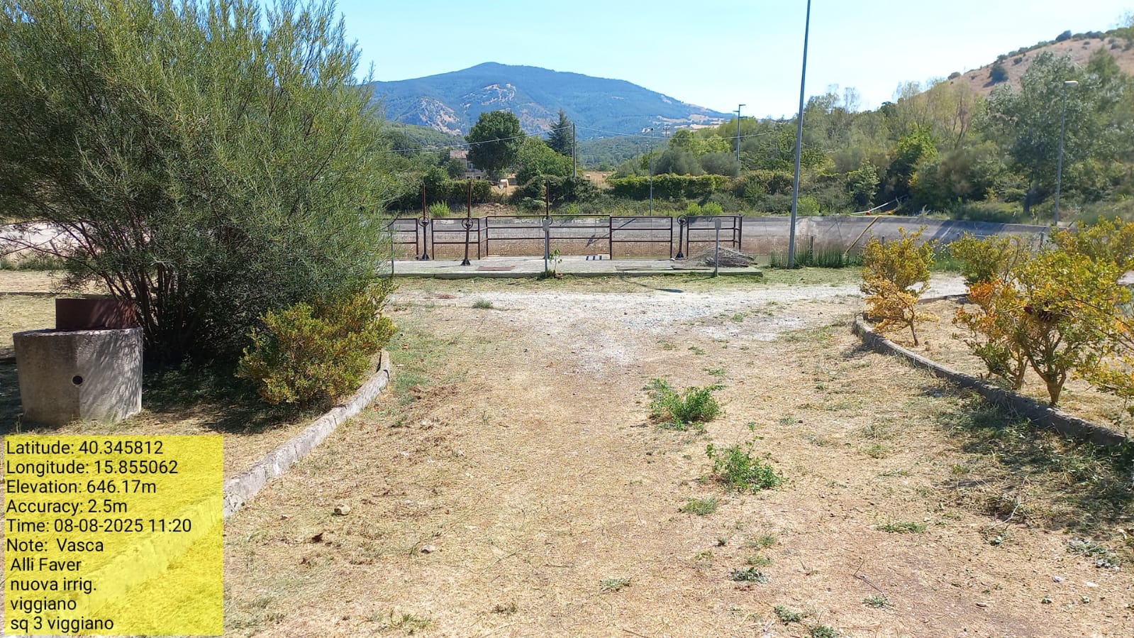 Galleria Fotografica Immagine