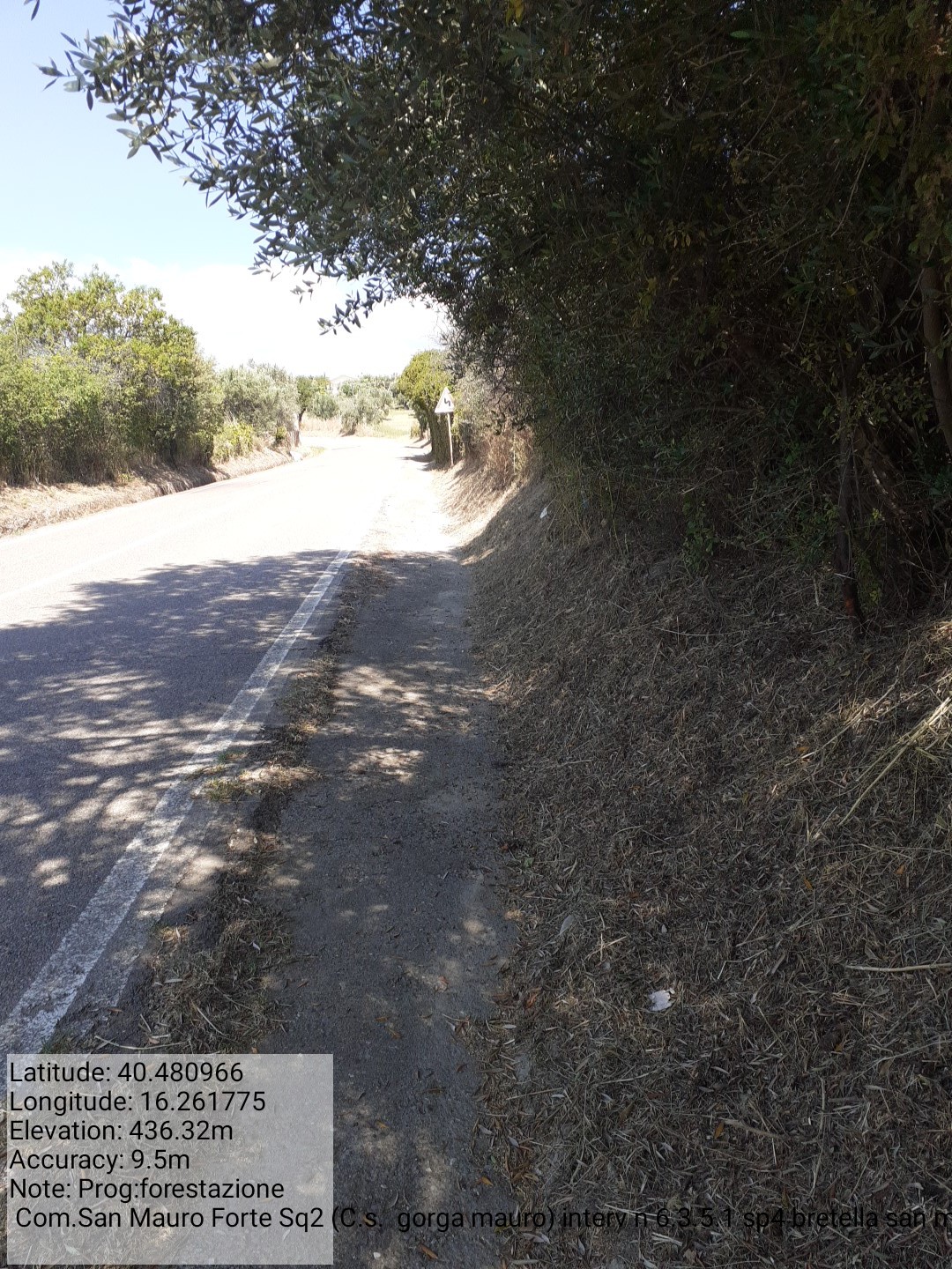 Galleria Fotografica Immagine