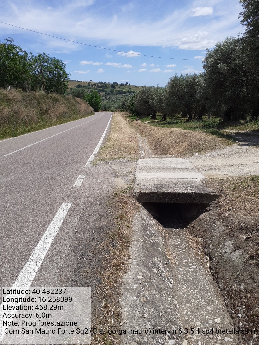 Galleria Fotografica Immagine