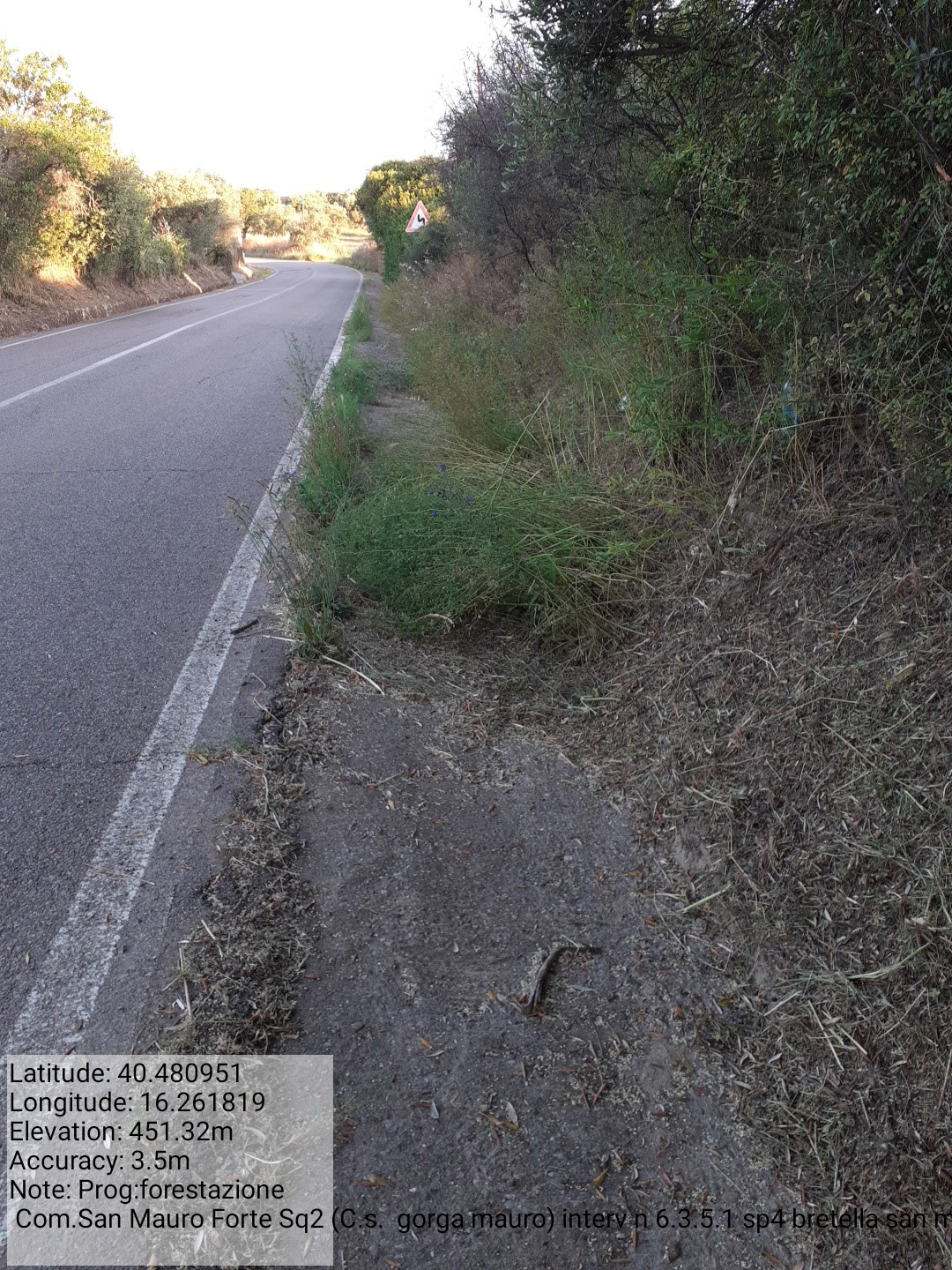 Galleria Fotografica Immagine