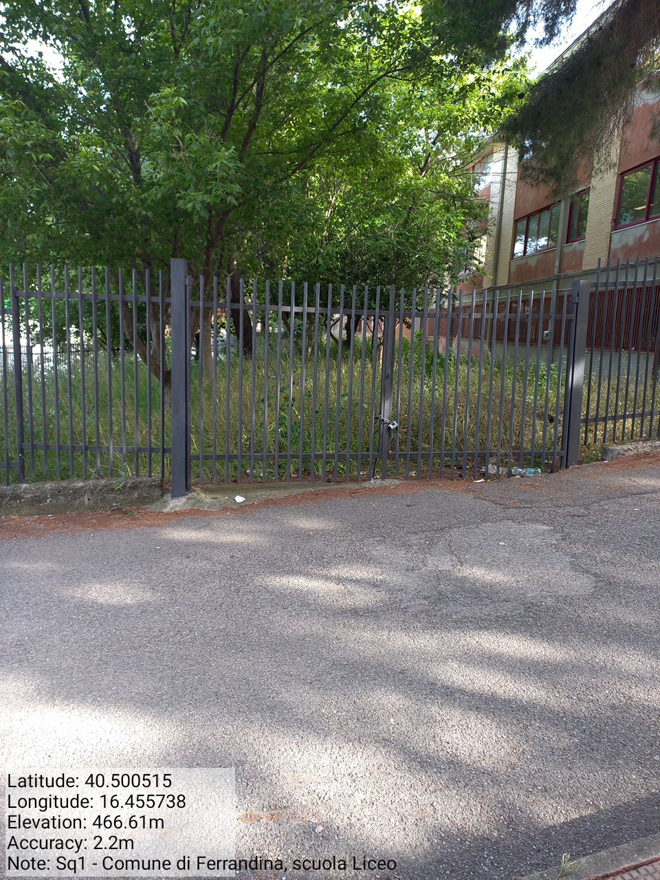 Galleria Fotografica Immagine