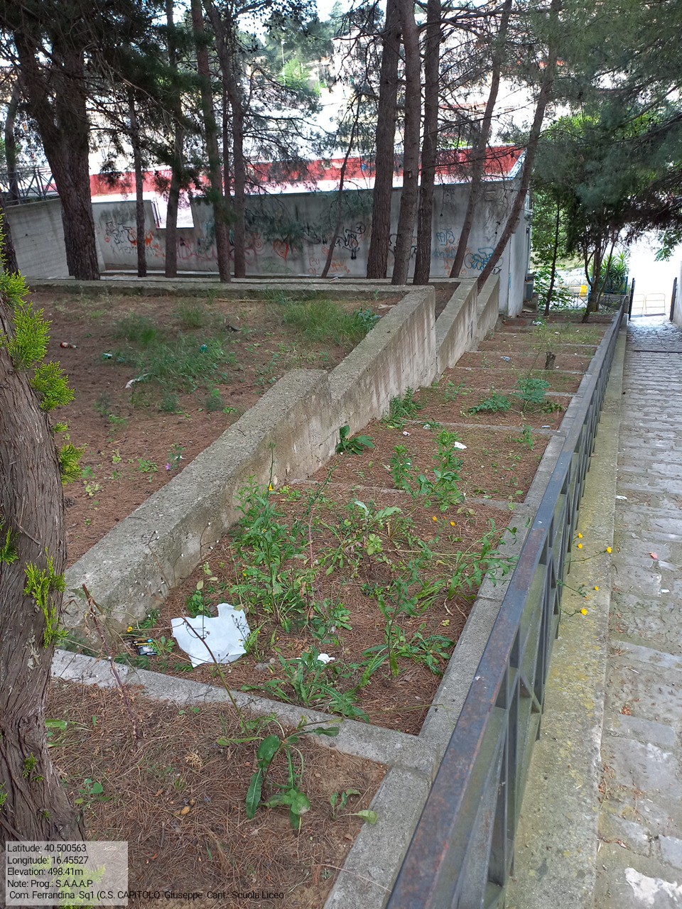 Galleria Fotografica Immagine