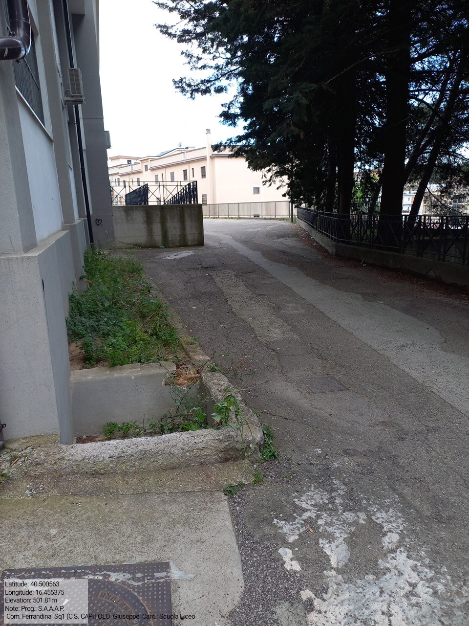 Galleria Fotografica Immagine