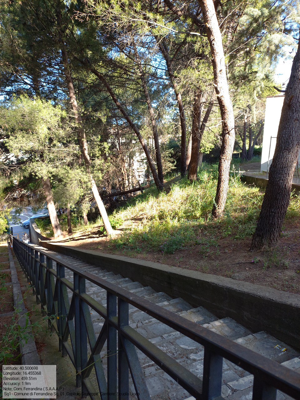 Galleria Fotografica Immagine