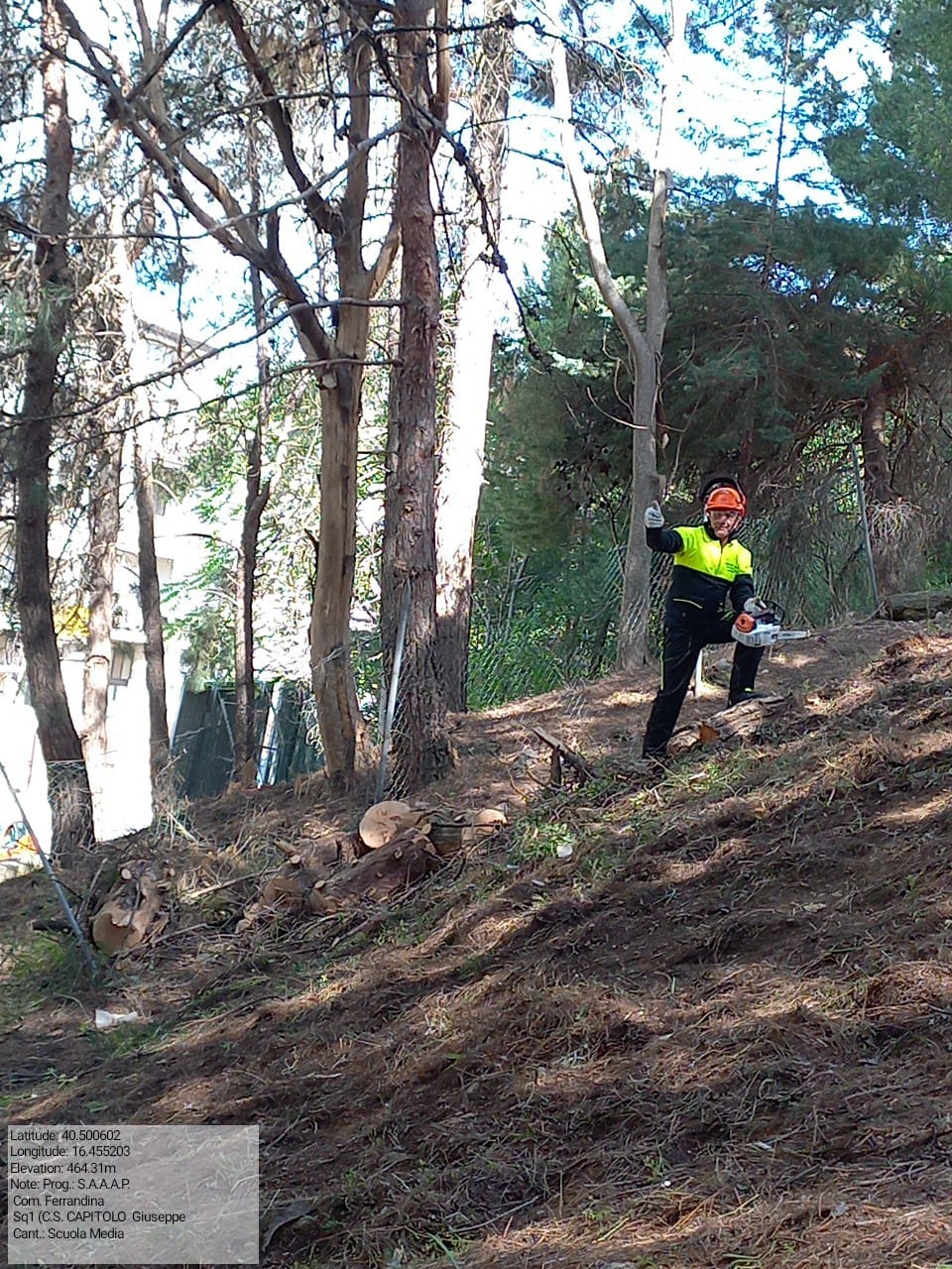 Galleria Fotografica Immagine