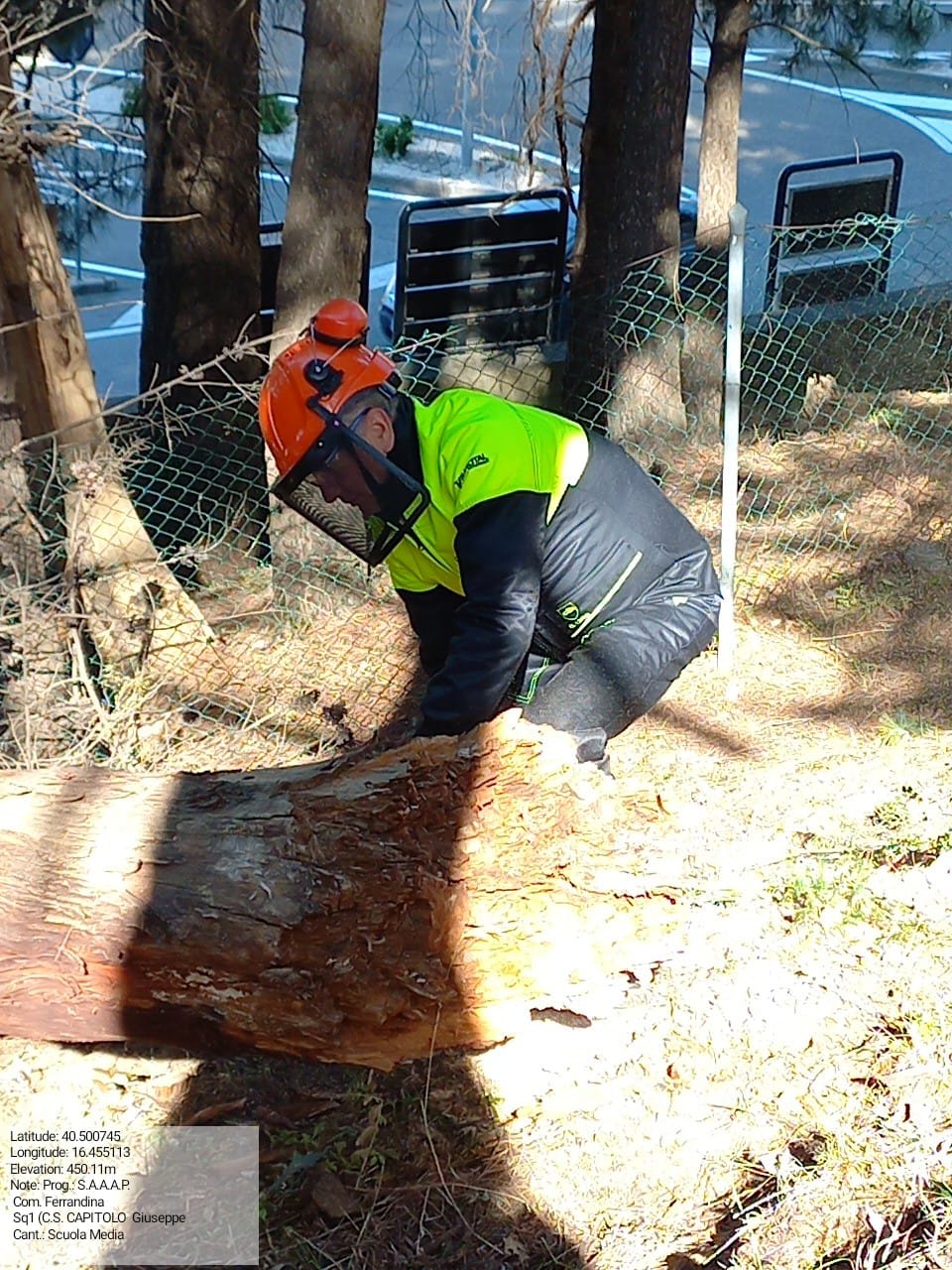 Galleria Fotografica Immagine