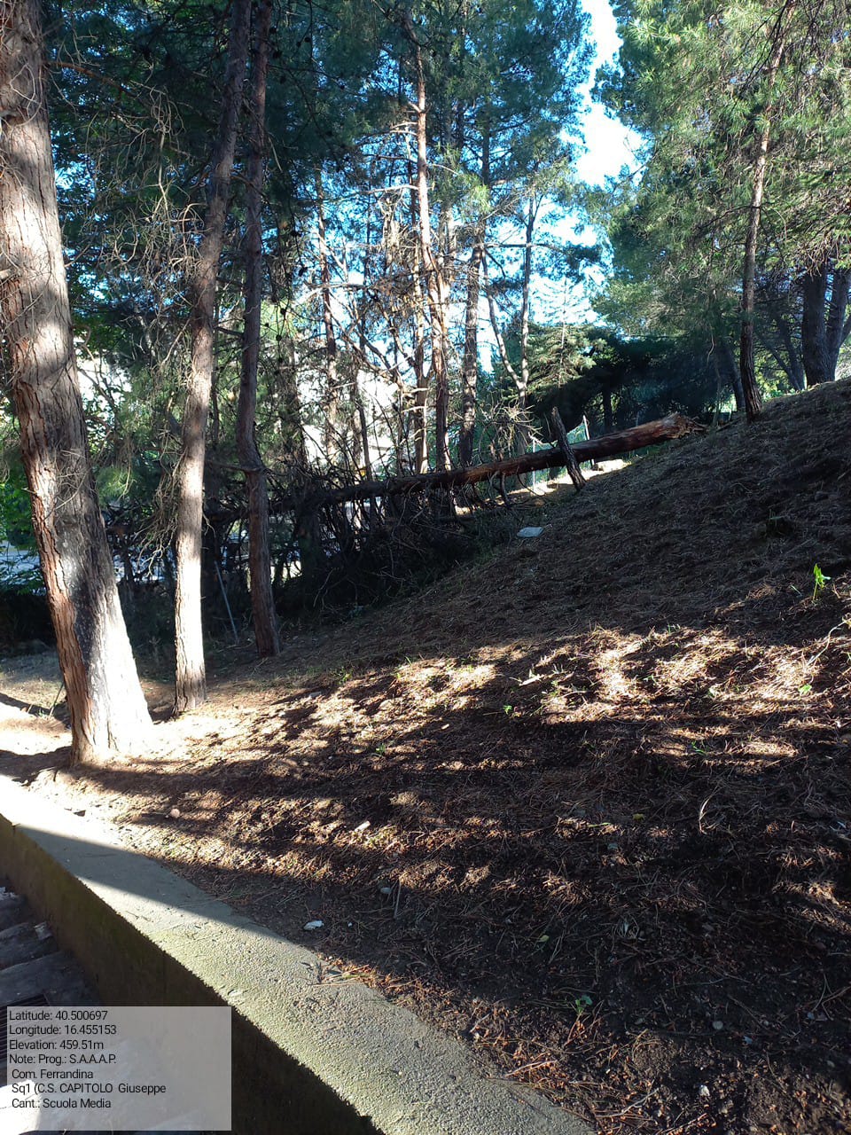 Galleria Fotografica Immagine