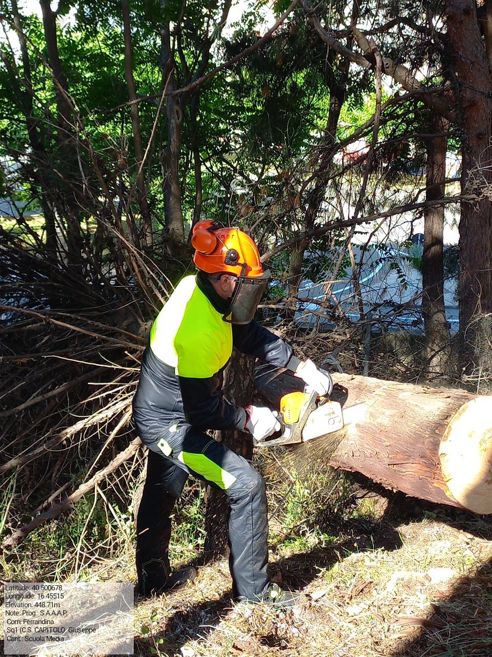 Galleria Fotografica Immagine