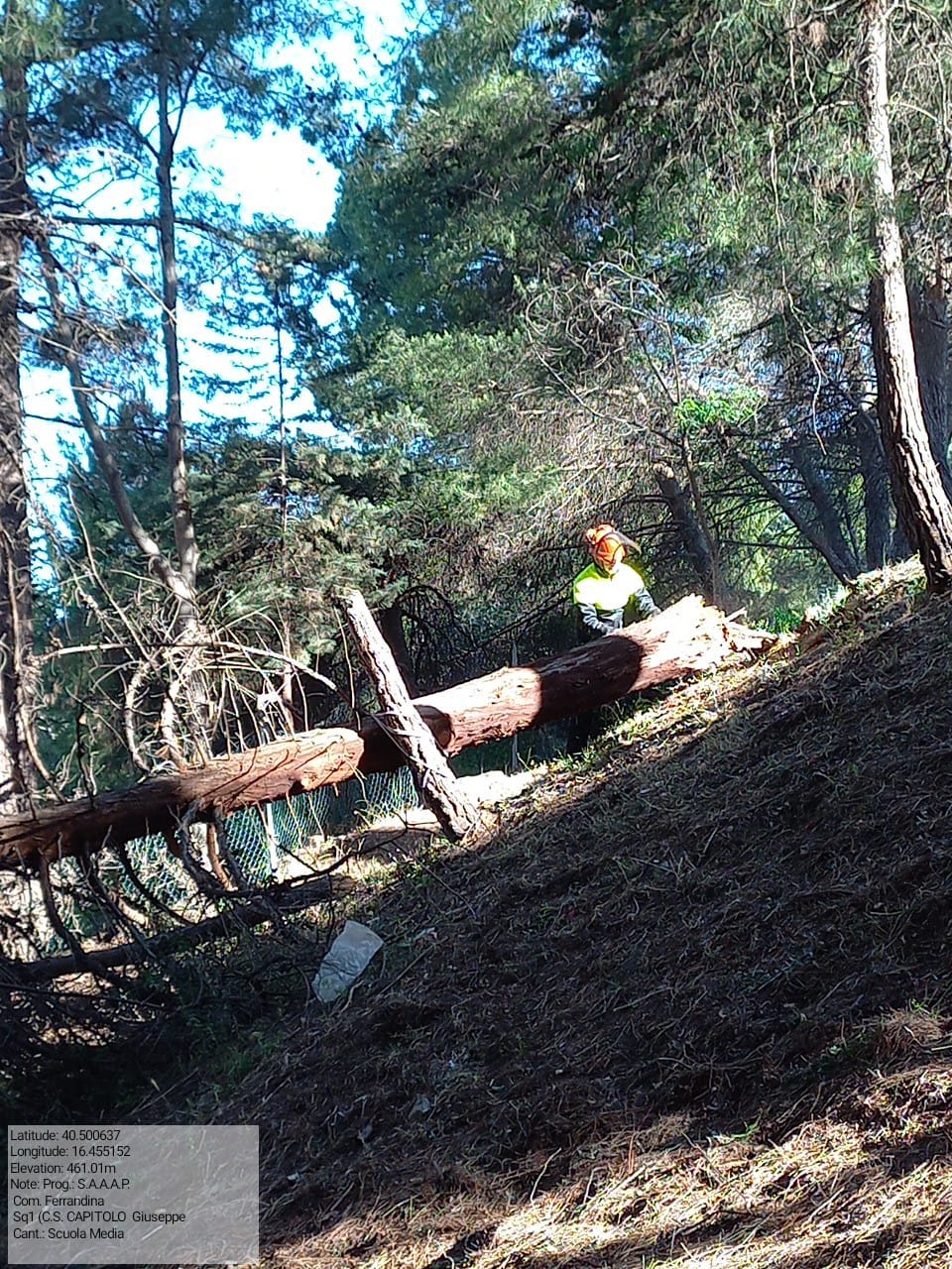 Galleria Fotografica Immagine