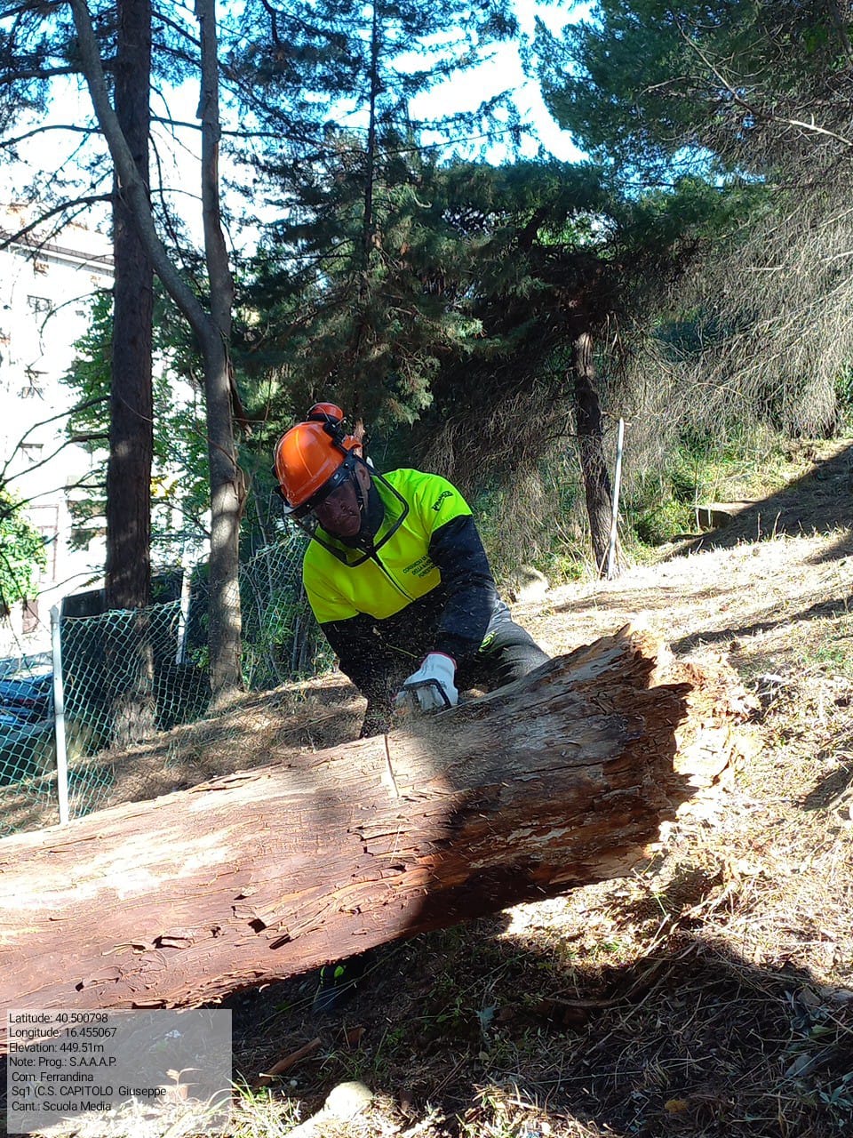 Galleria Fotografica Immagine