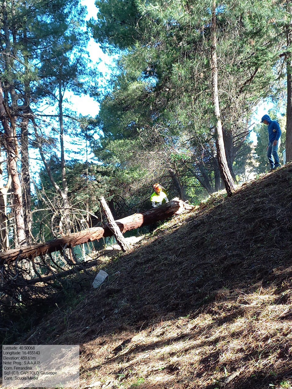 Galleria Fotografica Immagine