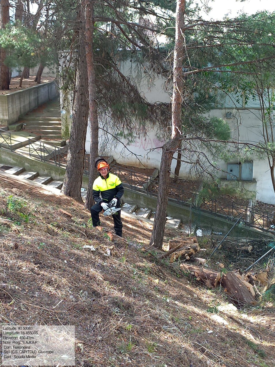 Galleria Fotografica Immagine