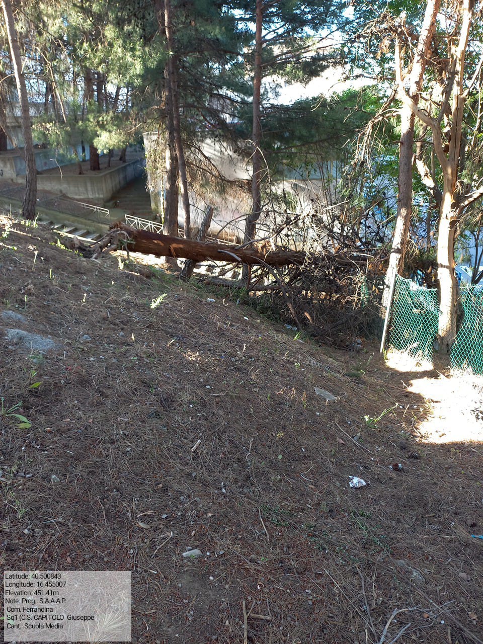 Galleria Fotografica Immagine