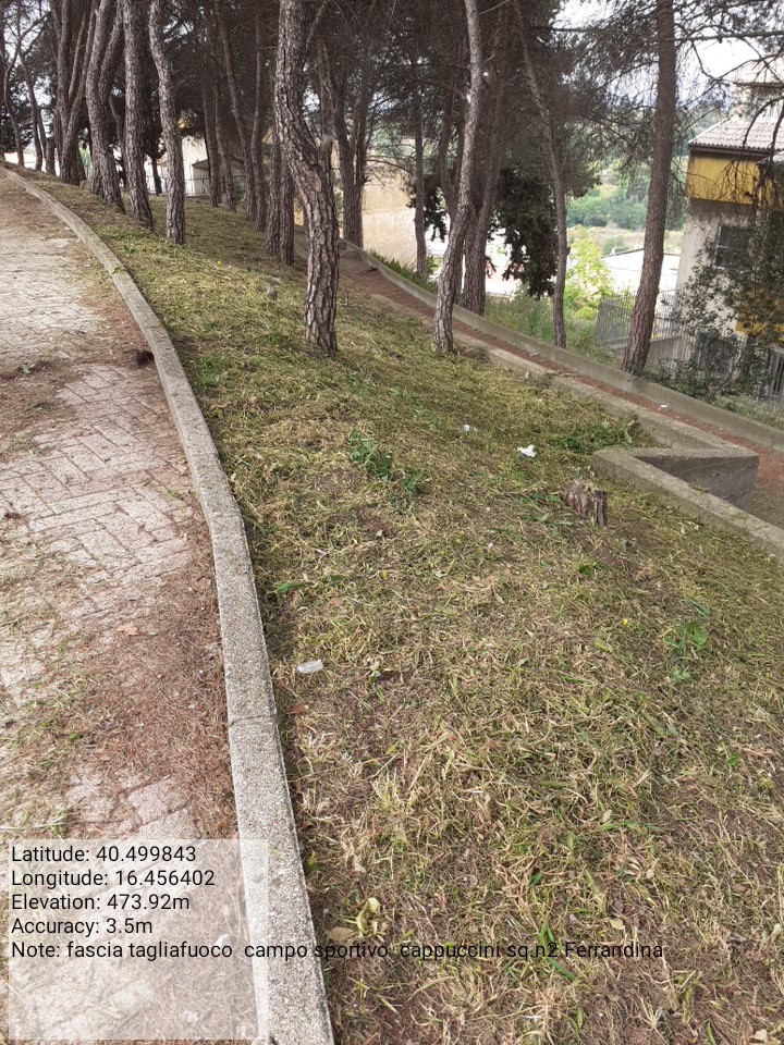 Galleria Fotografica Immagine