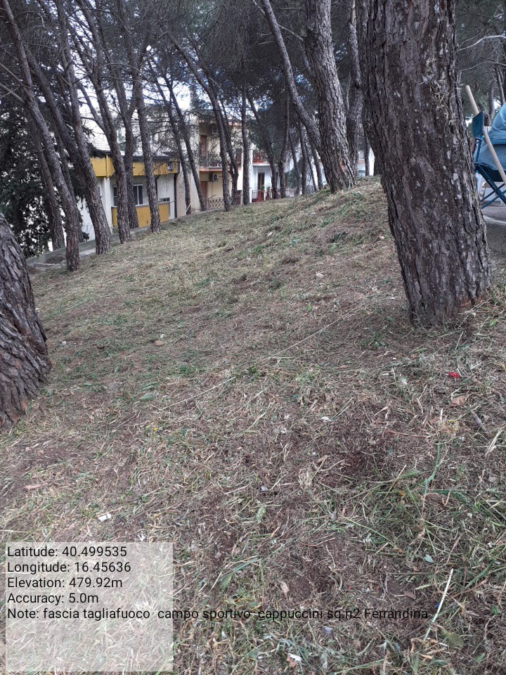 Galleria Fotografica Immagine