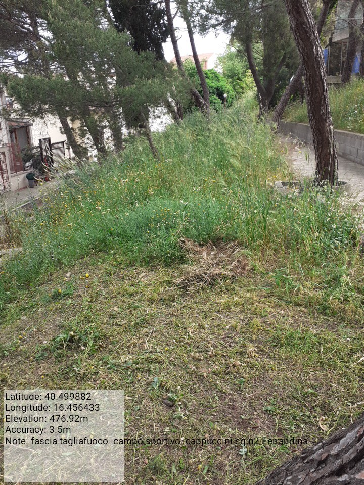 Galleria Fotografica Immagine