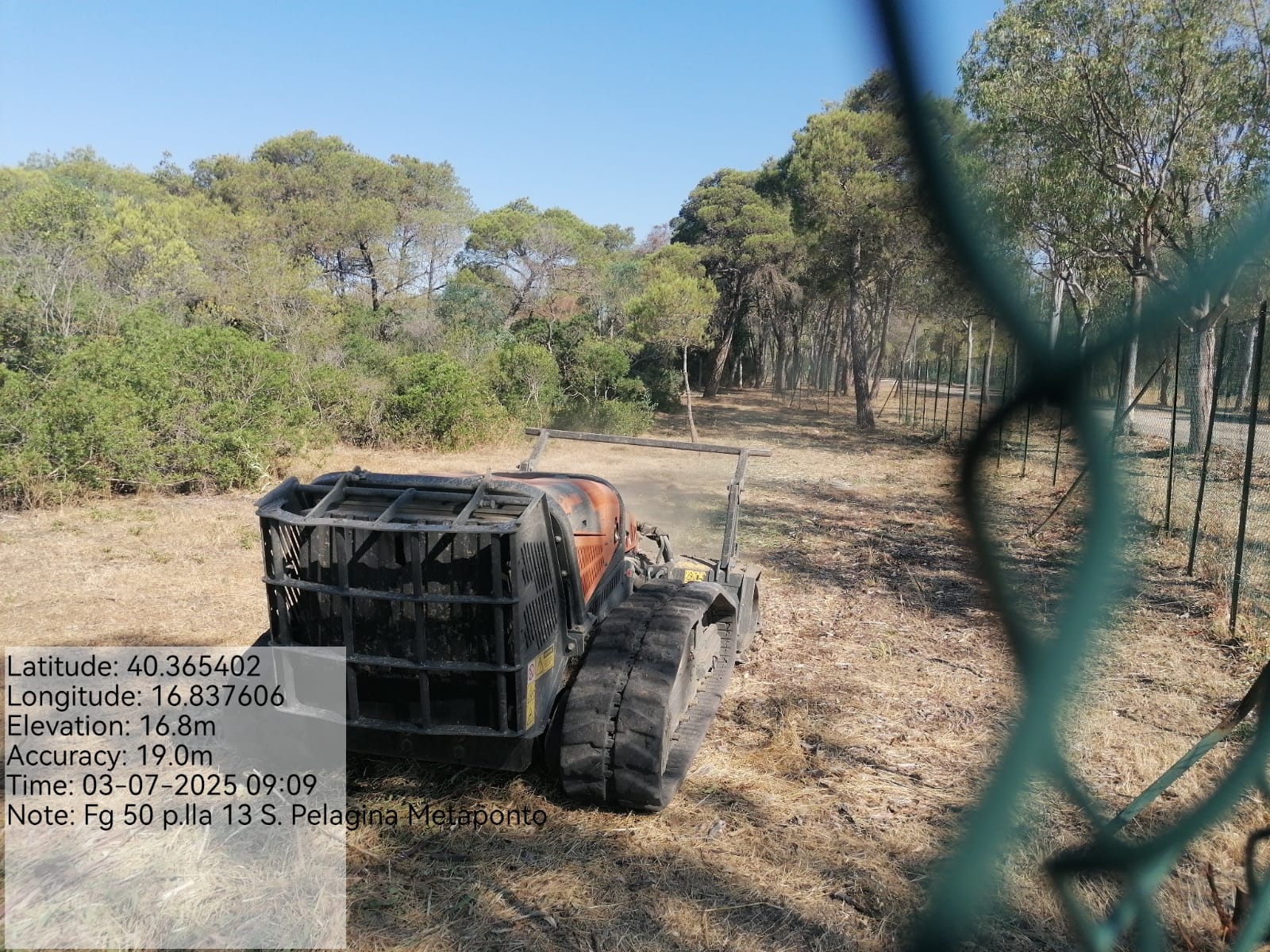 Galleria Fotografica Immagine