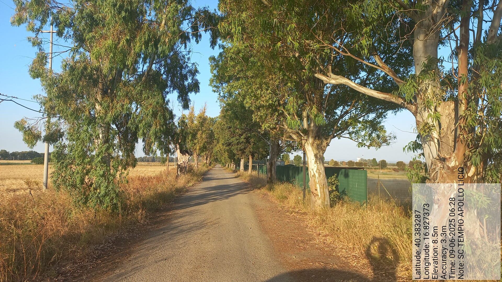 Galleria Fotografica Immagine