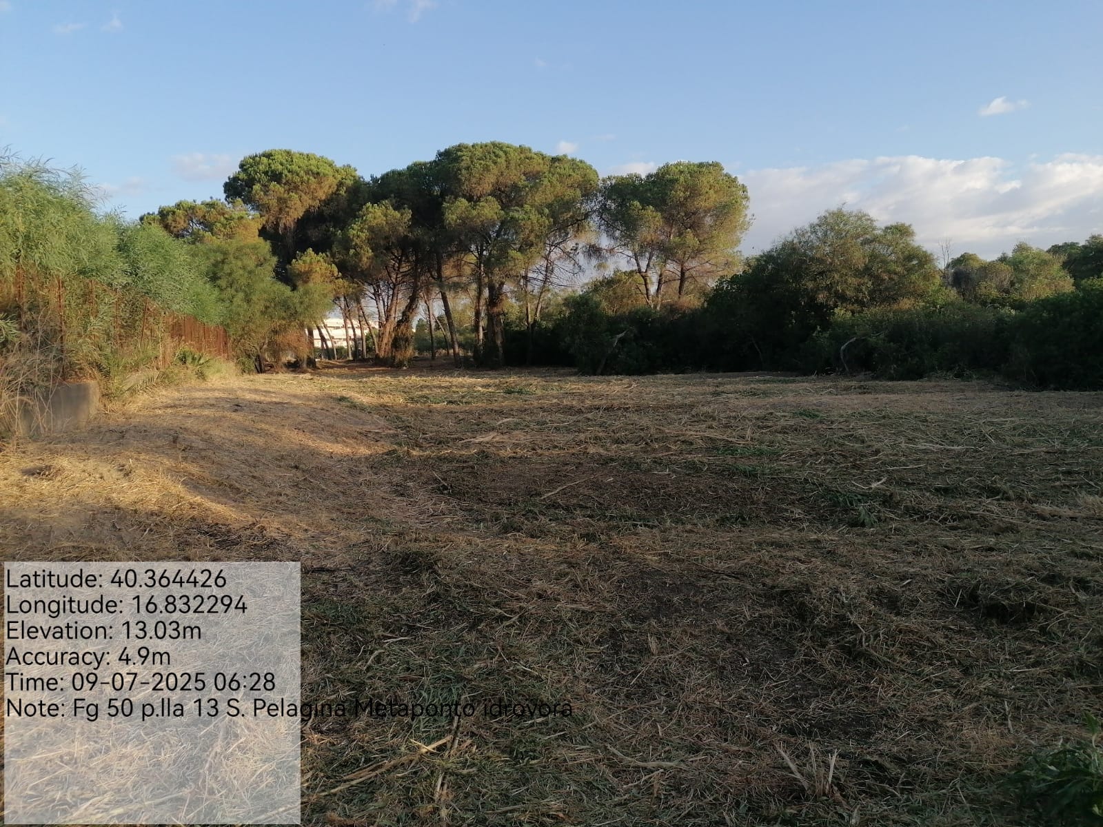 Galleria Fotografica Immagine