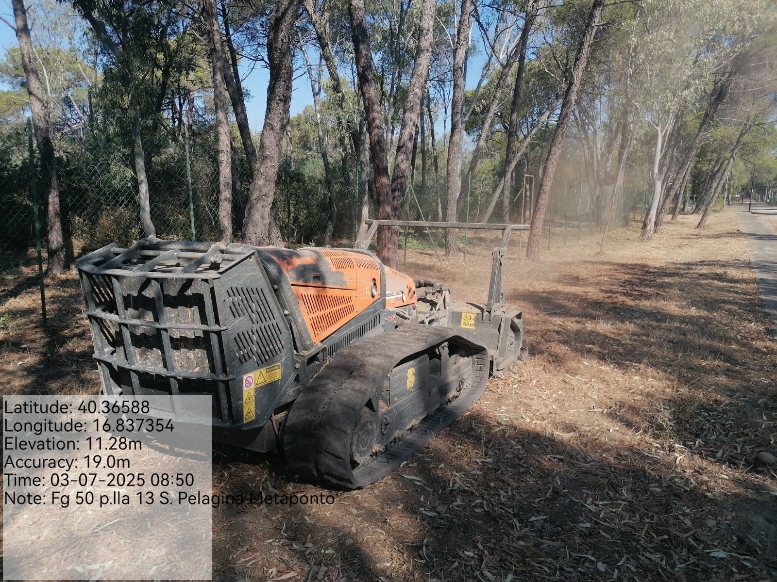 Galleria Fotografica Immagine