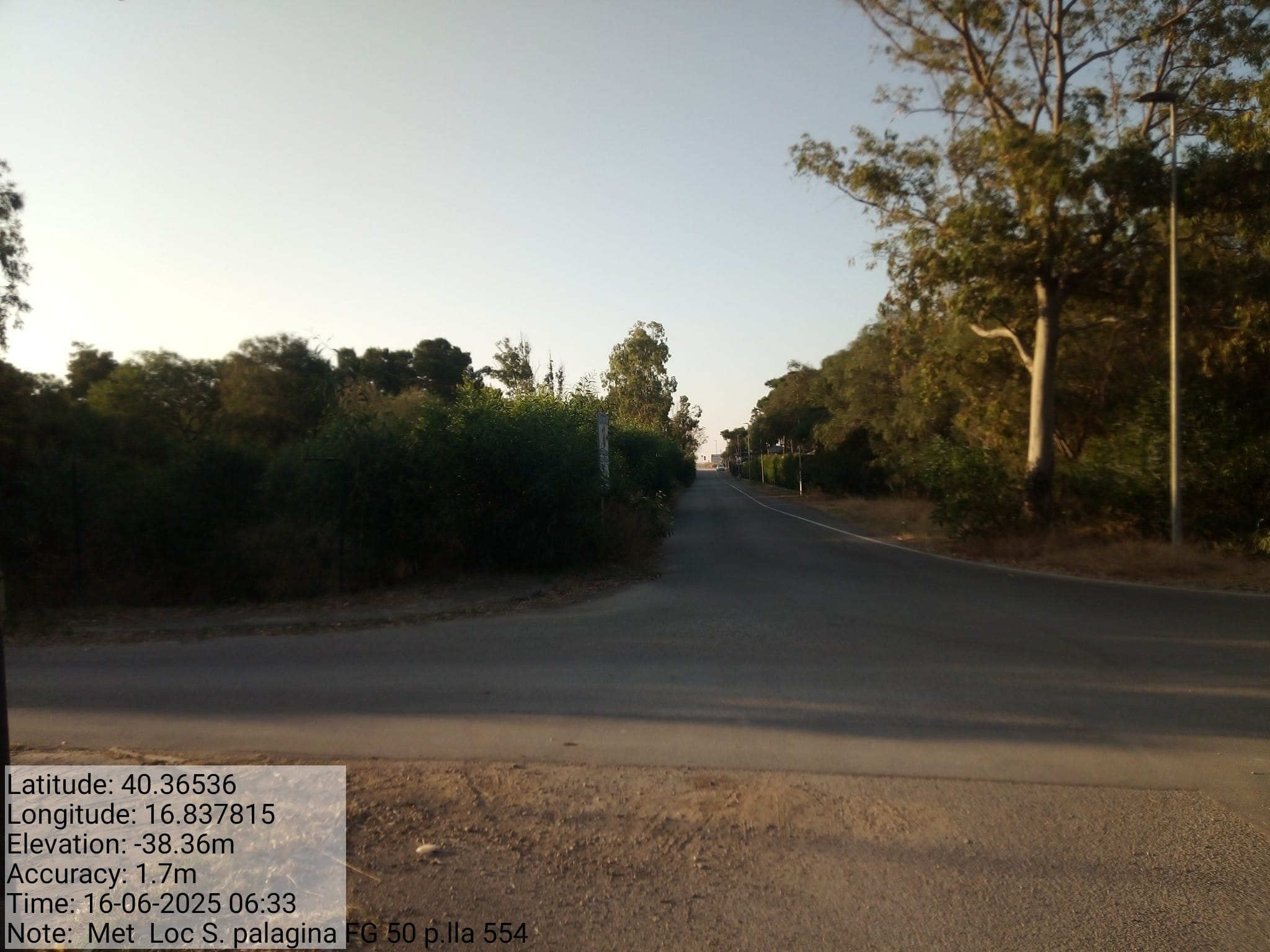 Galleria Fotografica Immagine