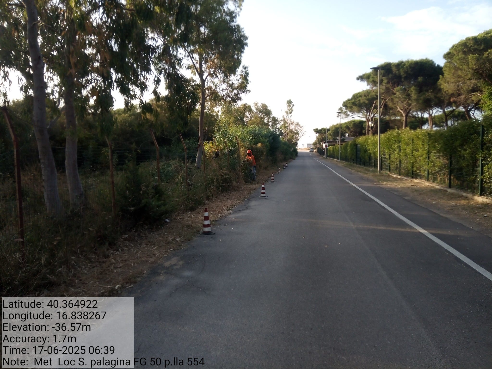 Galleria Fotografica Immagine