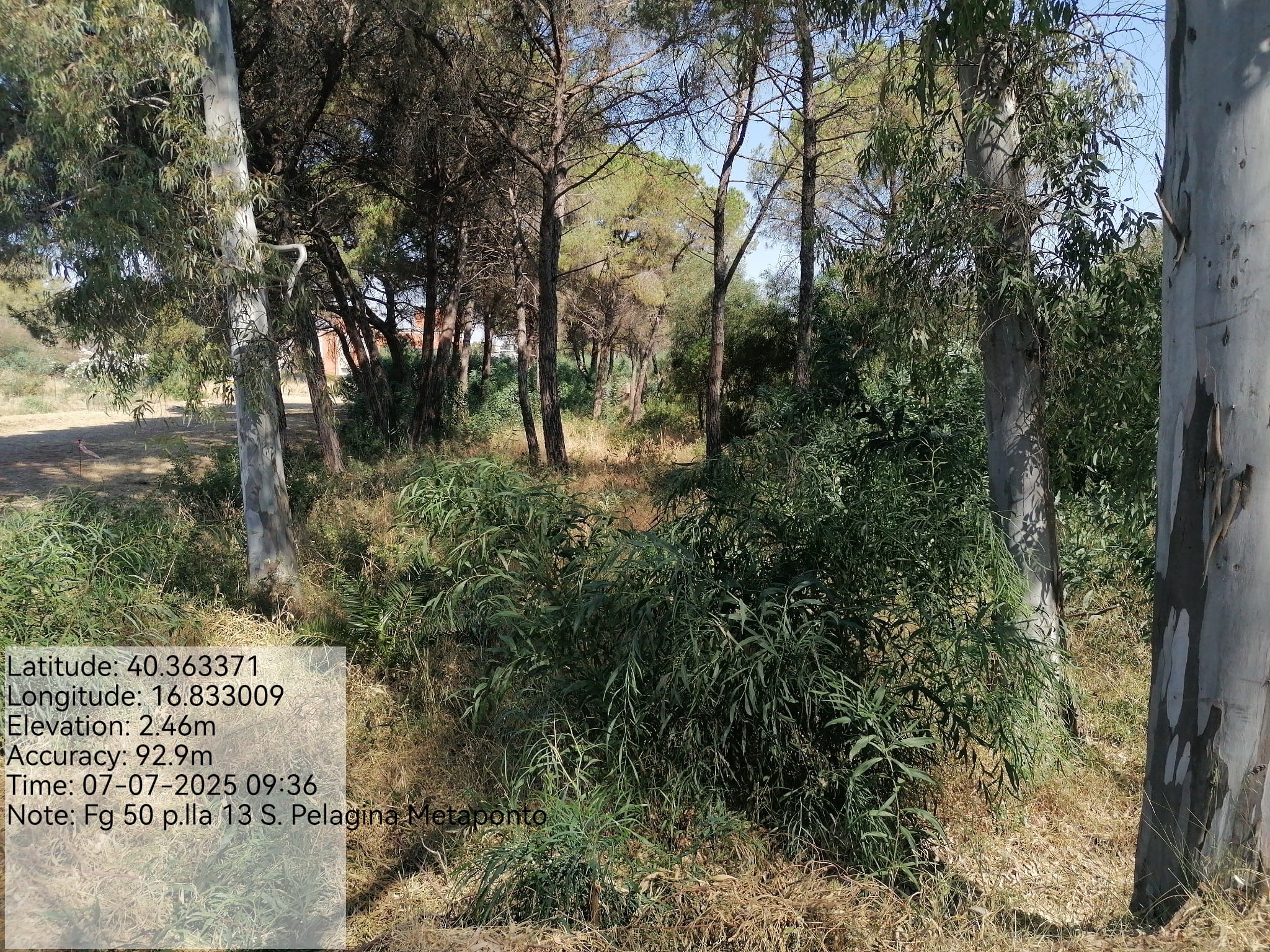 Galleria Fotografica Immagine