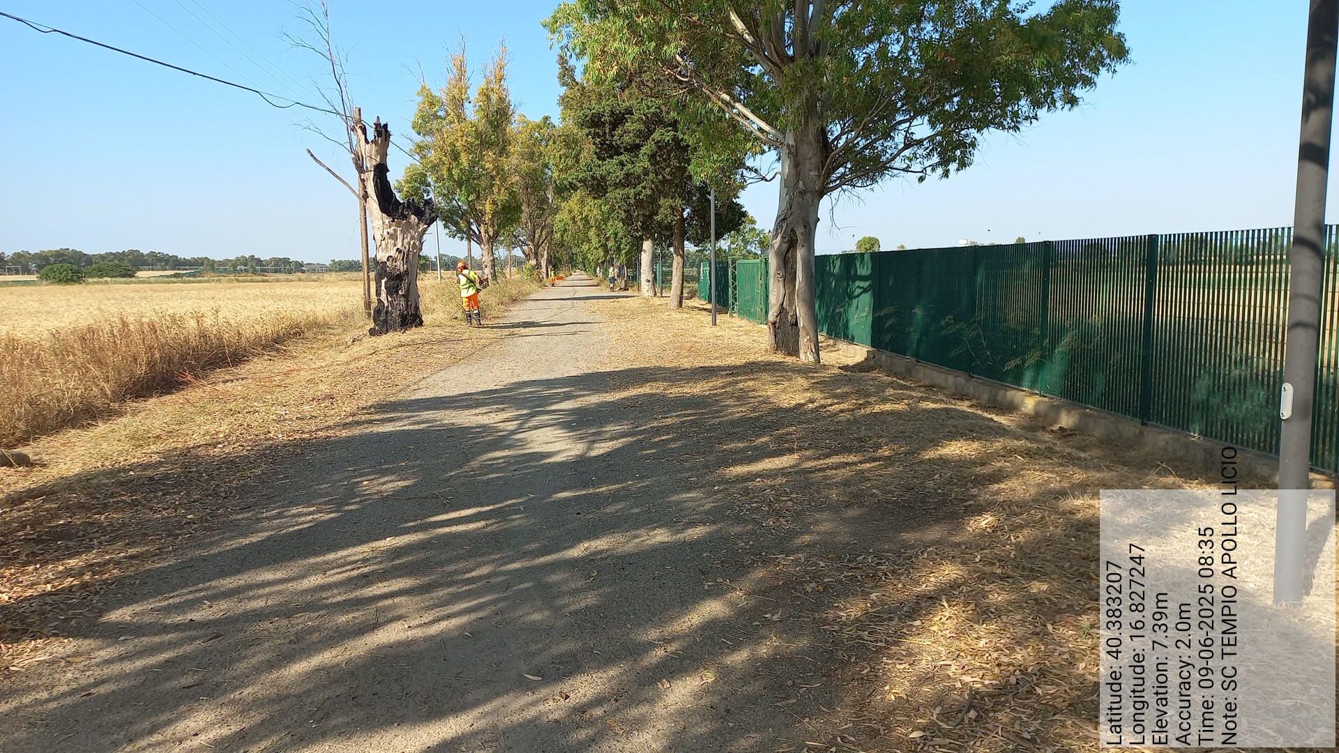 Galleria Fotografica Immagine