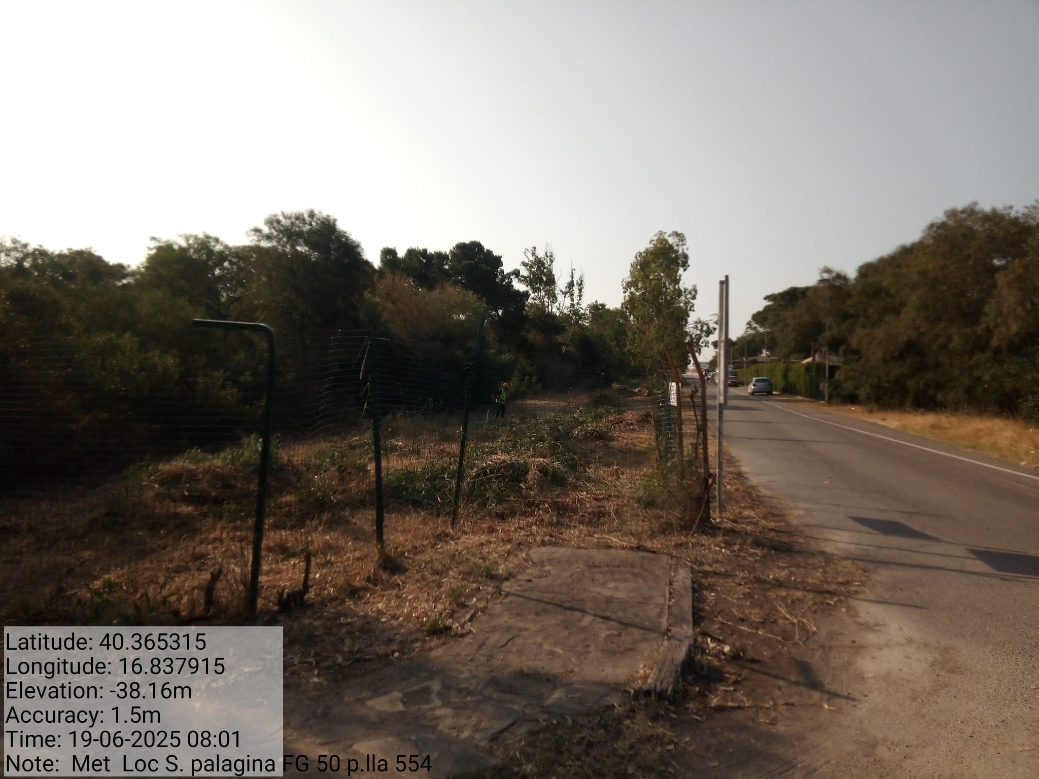 Galleria Fotografica Immagine