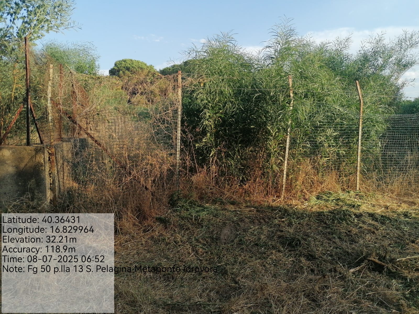 Galleria Fotografica Immagine