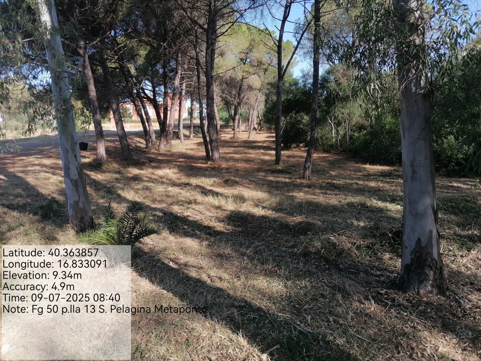 Galleria Fotografica Immagine