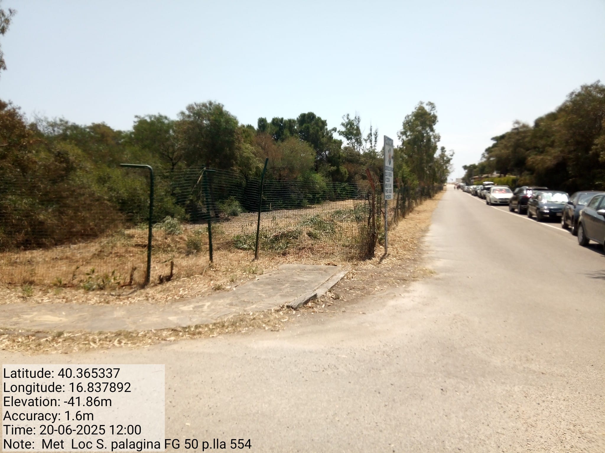 Galleria Fotografica Immagine