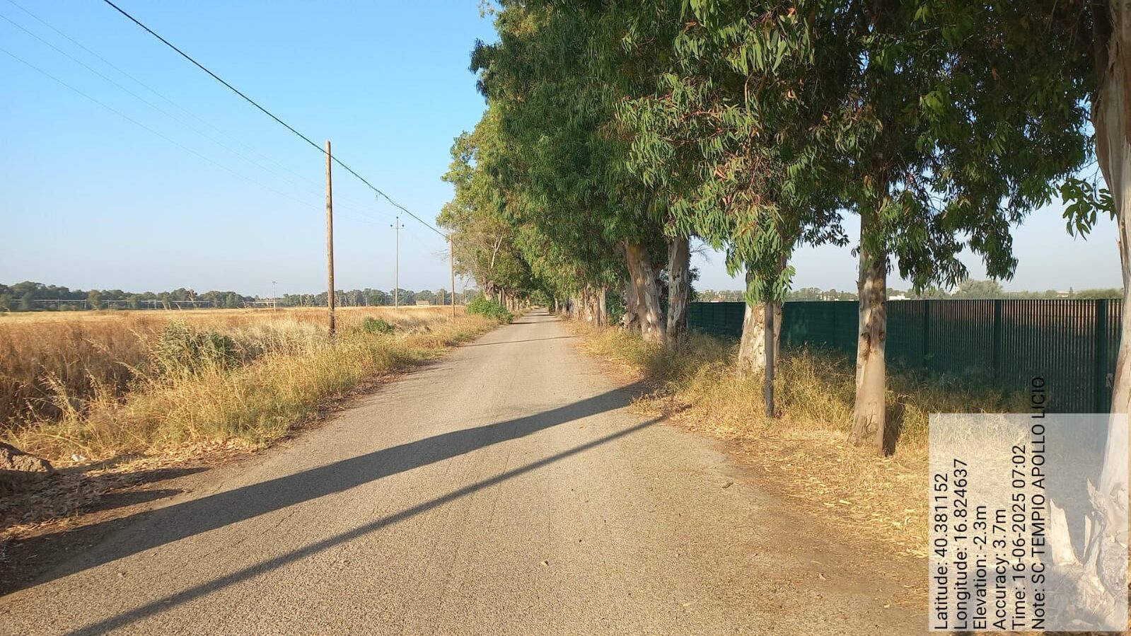 Galleria Fotografica Immagine