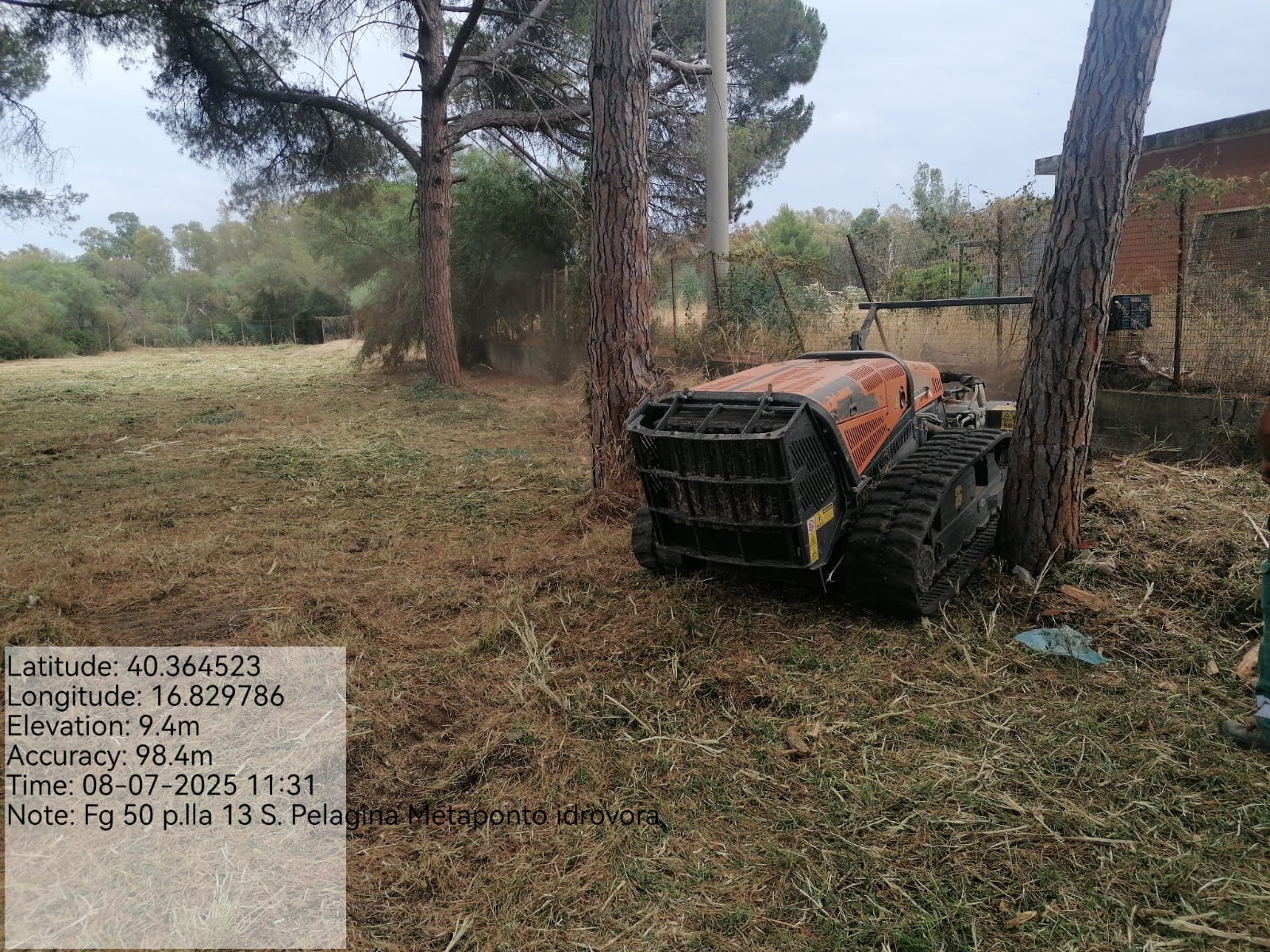 Galleria Fotografica Immagine