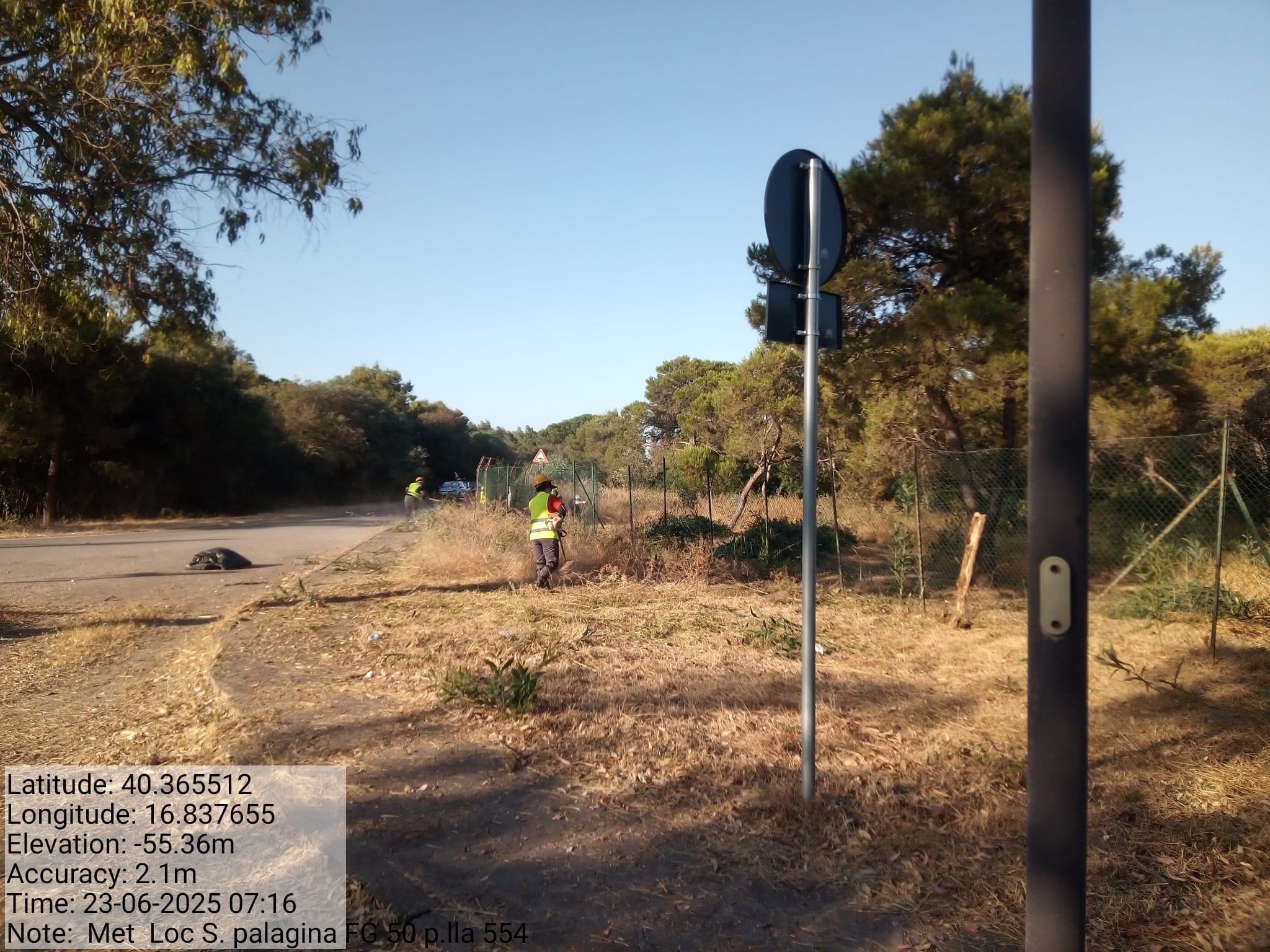 Galleria Fotografica Immagine