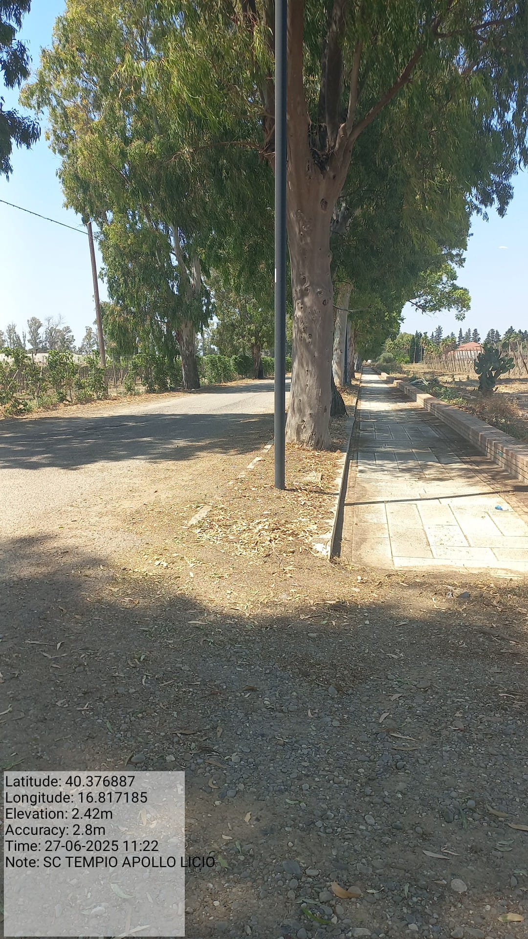 Galleria Fotografica Immagine