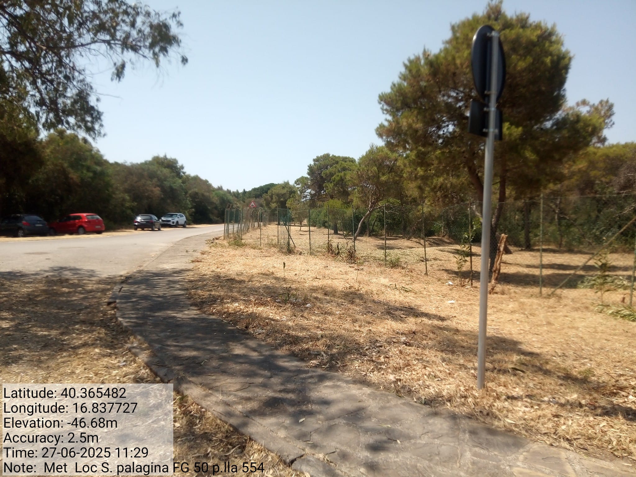 Galleria Fotografica Immagine