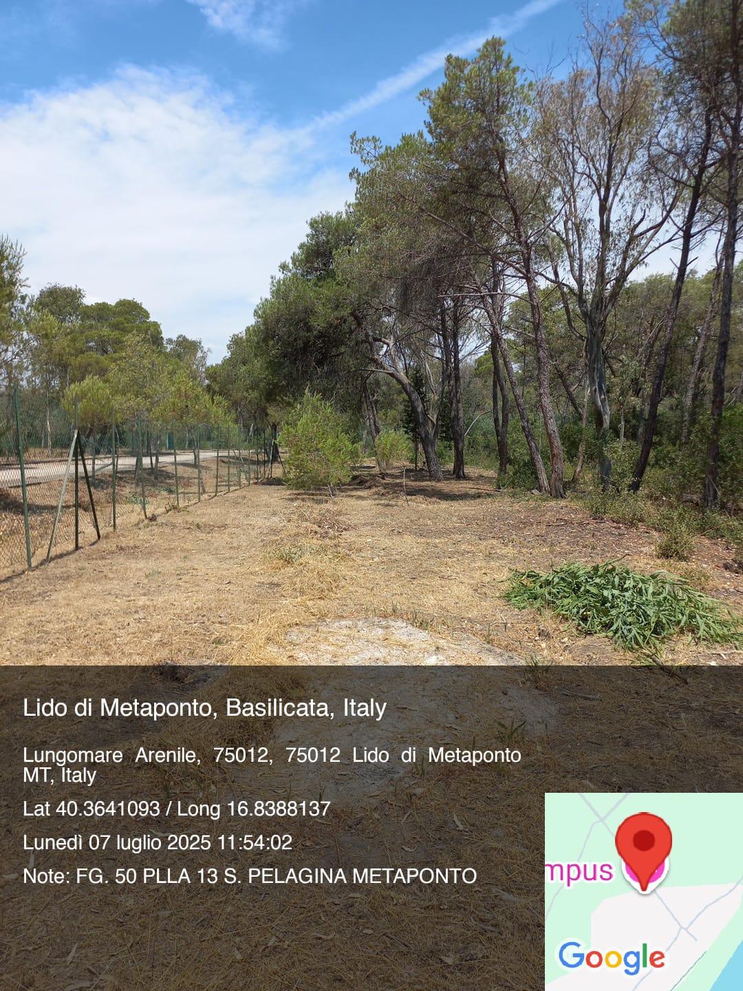 Galleria Fotografica Immagine