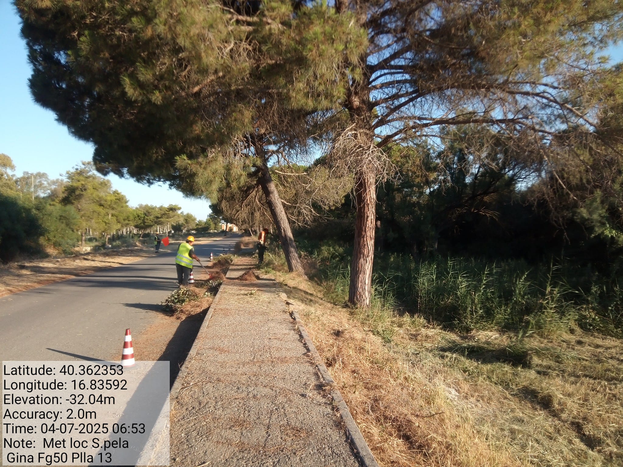 Galleria Fotografica Immagine