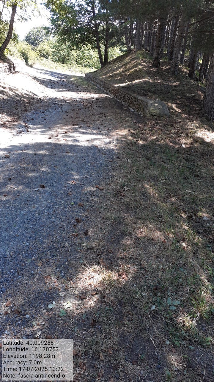 Galleria Fotografica Immagine