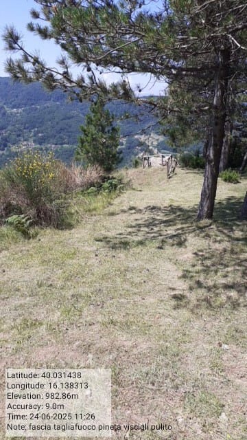 Galleria Fotografica Immagine