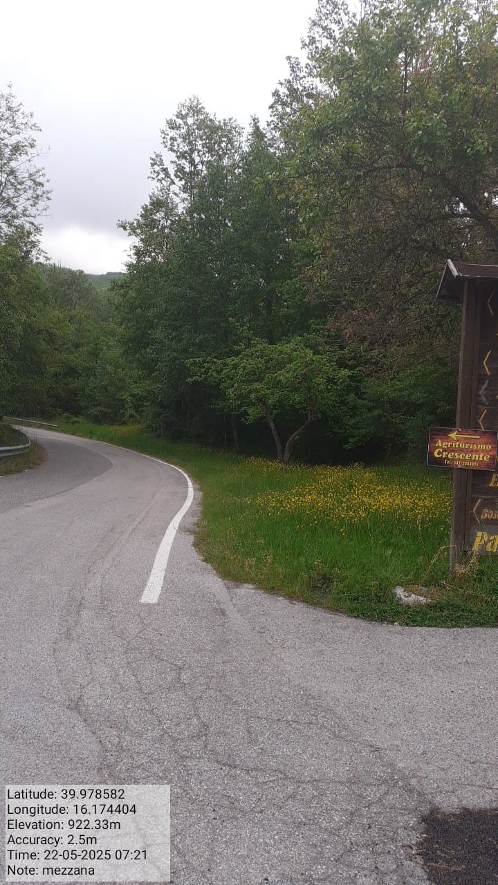 Galleria Fotografica Immagine