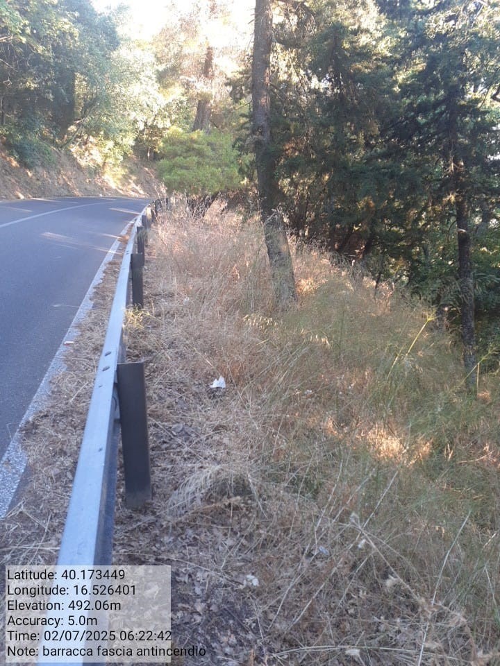 Galleria Fotografica Immagine