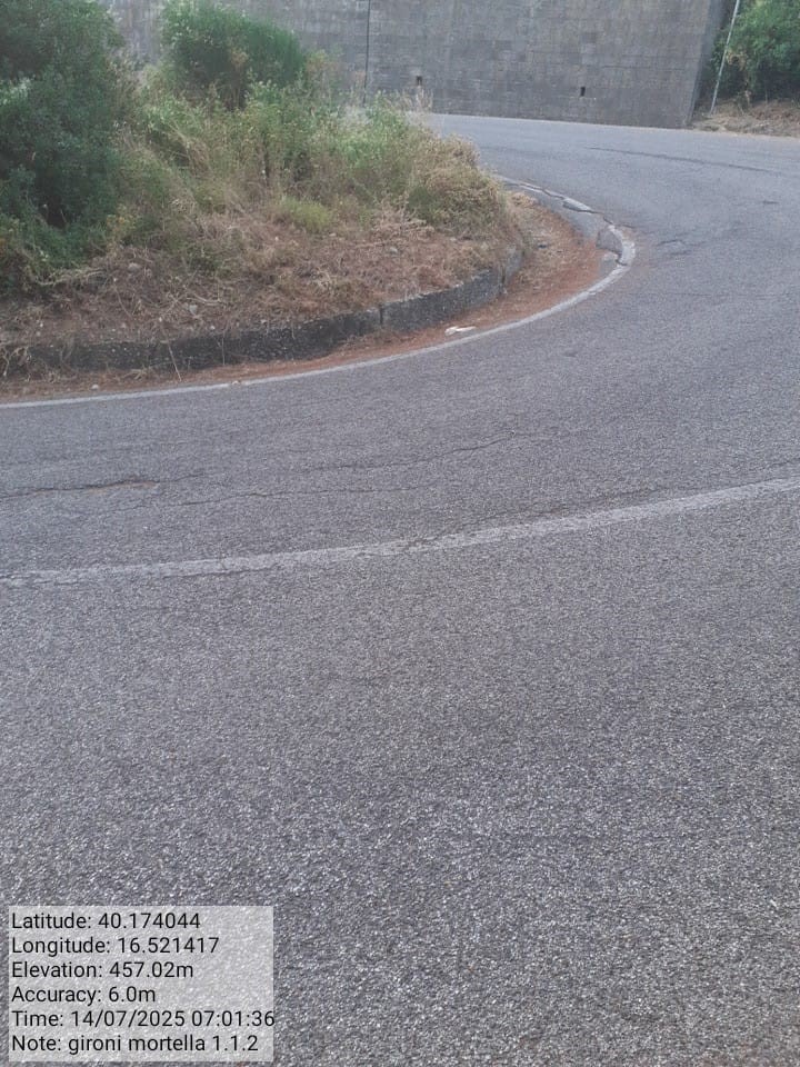 Galleria Fotografica Immagine