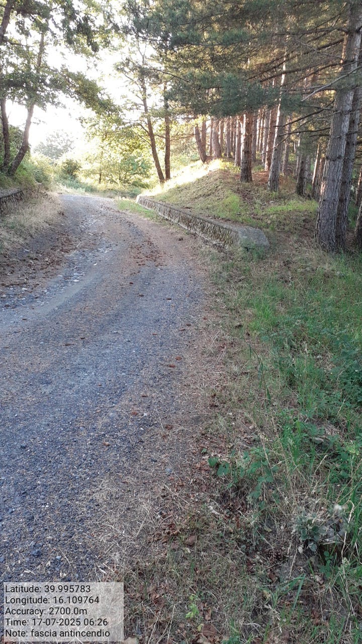 Galleria Fotografica Immagine