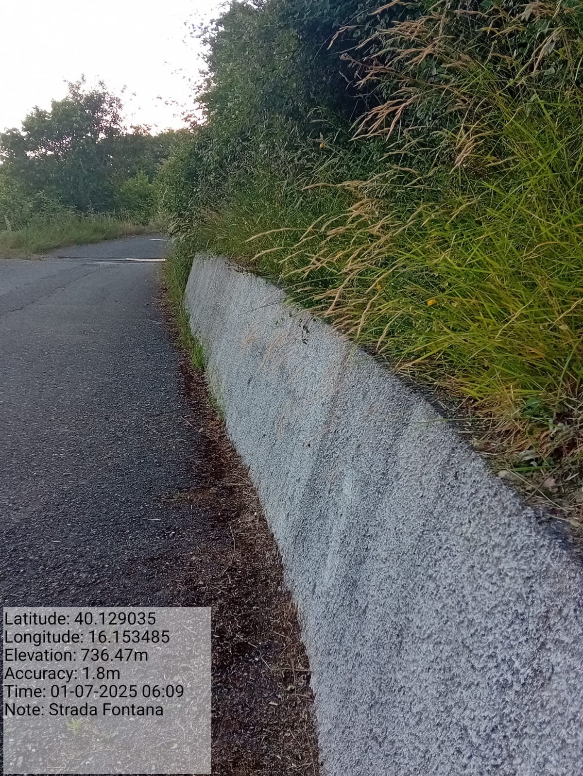 Galleria Fotografica Immagine