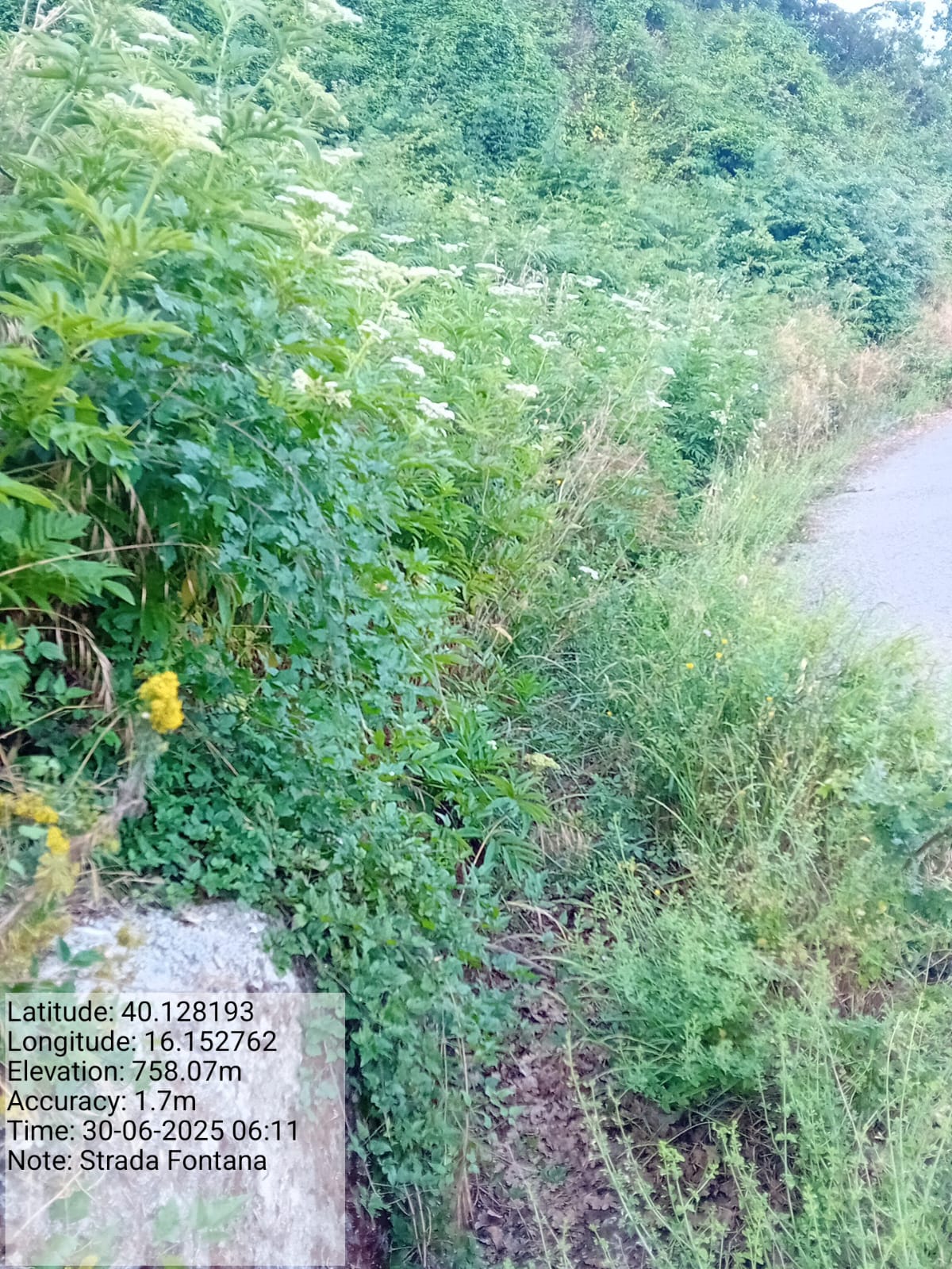 Galleria Fotografica Immagine